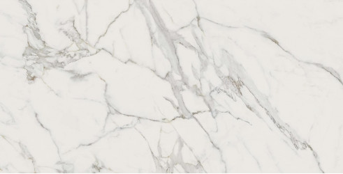 Керамогранит Atlas Concorde Marvel Calacatta 60x120 см A208
