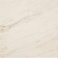 Керамогранит Atlas Concorde Marvel Pro Cremo Delicato 120x120 см A206