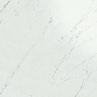 Керамогранит Atlas Concorde Marvel Stone Carrara Pure 120x120 см A207