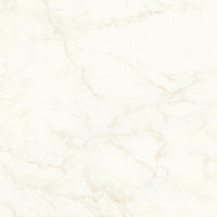 Керамогранит Atlas Concorde Marvel Shine Calacatta Delicato Matt 120x120 см, толщина 9 мм (A4Q4)