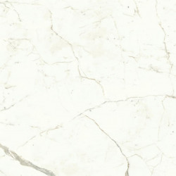 Керамогранит Atlas Concorde Marvel Shine Calacatta Prestigio Matt 120x120 см, толщина 9 мм (A4Q5)