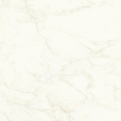 Керамогранит Atlas Concorde Marvel Shine Calacatta Delicato Lappato 120x120 см, толщина 9 мм (A4Q8)