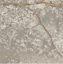 Керамогранит Atlas Concorde Russia Empire Silver Root Bottone Lapp 7,2x7,2 мрамор, полированный
