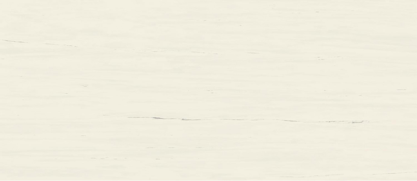 Керамогранит Atlas Concorde Marvel Stone Bianco Dolomite 120x278 см A2RS