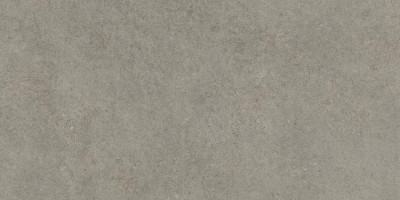 Керамогранит 80x160 см Atlas Concorde Forte Dei Marmi Rock Lunar Grey серый камень | 610010005813 фон