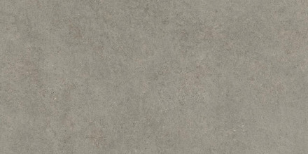 Керамогранит 80x160 см Atlas Concorde Forte Dei Marmi Rock Lunar Grey серый камень | 610010005813 фон