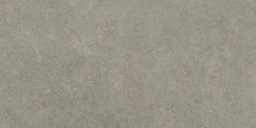 Керамогранит 80x160 см Atlas Concorde Forte Dei Marmi Rock Lunar Grey серый камень | 610010005813 фон