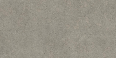 Керамогранит 80x160 см Atlas Concorde Forte Dei Marmi Rock Lunar Grey серый камень | 610010005813 фон