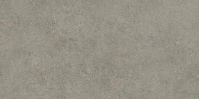 Керамогранит 60x120 см Atlas Concorde Forte Dei Marmi Rock Lunar Grey серый камень | 610010005829 фон полуматовый