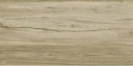 Керамогранит Kerranova Alleya 60х120 дерево серо-коричневое | фон K-2103/SR/600x1200x10