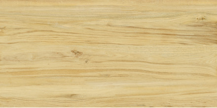 Керамогранит Kerranova Alleya 60х120 дерево бежевое (медовое)| фон K-2101/SR/600x1200x10