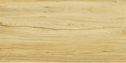Керамогранит Kerranova Alleya 60х120 дерево бежевое (медовое)| фон K-2101/SR/600x1200x10