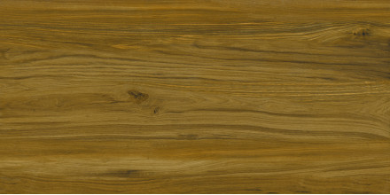 Керамогранит Kerranova Alleya 60х120 дерево темно-коричневое | фон K-2104/SR/600x1200x10