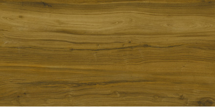 Керамогранит Kerranova Alleya 60х120 дерево темно-коричневое | фон K-2104/SR/600x1200x10