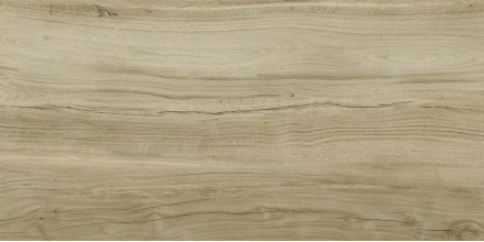 Керамогранит Kerranova Alleya 60х120 дерево серо-коричневое | фон K-2103/SR/600x1200x10