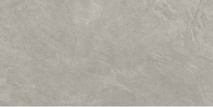 Керамогранит Atlas Concorde Russia Rinascente Slate 60x120 камень Сильвер | фон | 610010003556