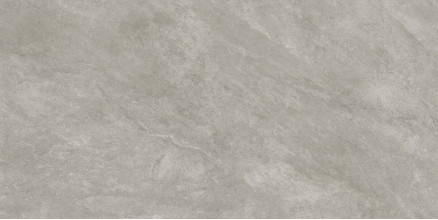 Керамогранит Atlas Concorde Russia Rinascente Slate 60x120 камень Сильвер | фон | 610010003556
